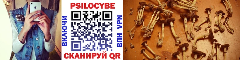 Галлюциногенные грибы Cubensis  KRAKEN зеркало  Спасск-Рязанский 